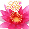 Summer avatar holiday 40